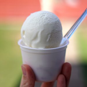 ニセコ高橋牧場 ミルク工房 アイスクリーム