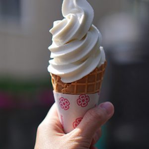 北のおとうふ豆太 工場直売所 豆乳ソフトクリーム